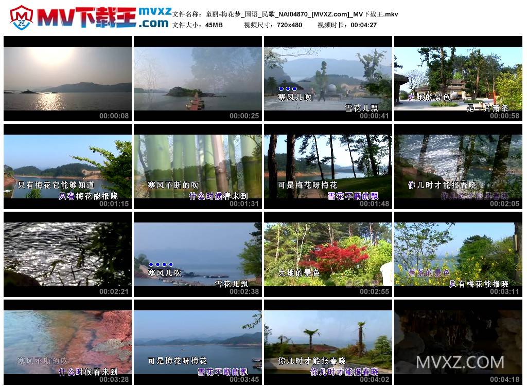 童丽-梅花梦_国语_民歌_NAI04870